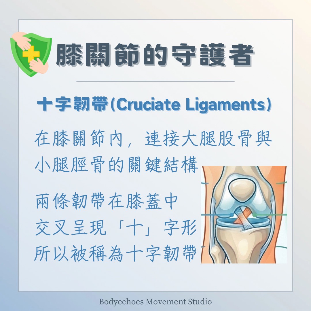 📍《身語小學堂》十字韌帶損傷（ACL）｜運動篇｜我還能回場嗎？ 圖片 1
