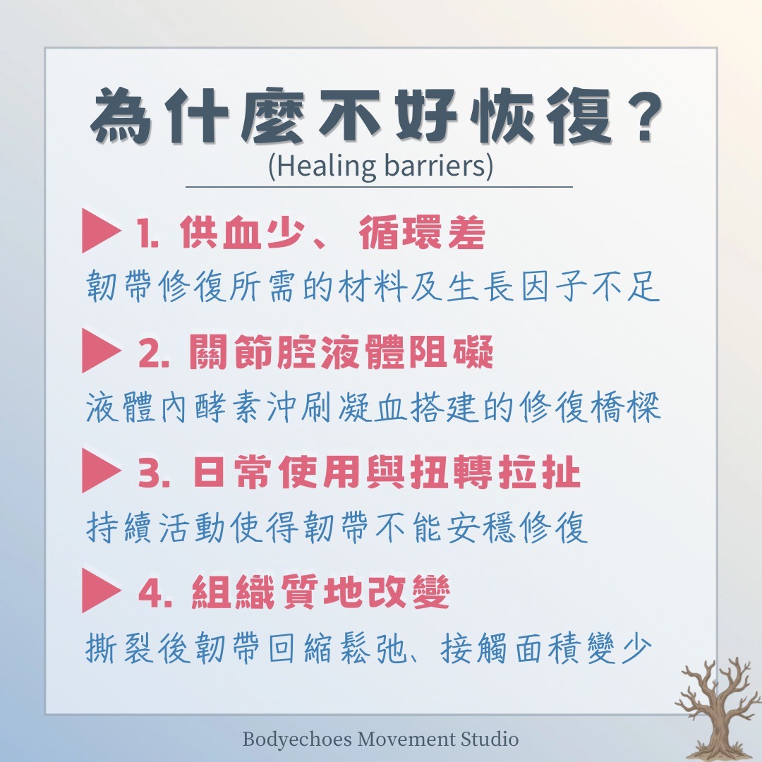📍《身語小學堂》十字韌帶損傷（ACL）｜運動篇｜我還能回場嗎？ 圖片 4
