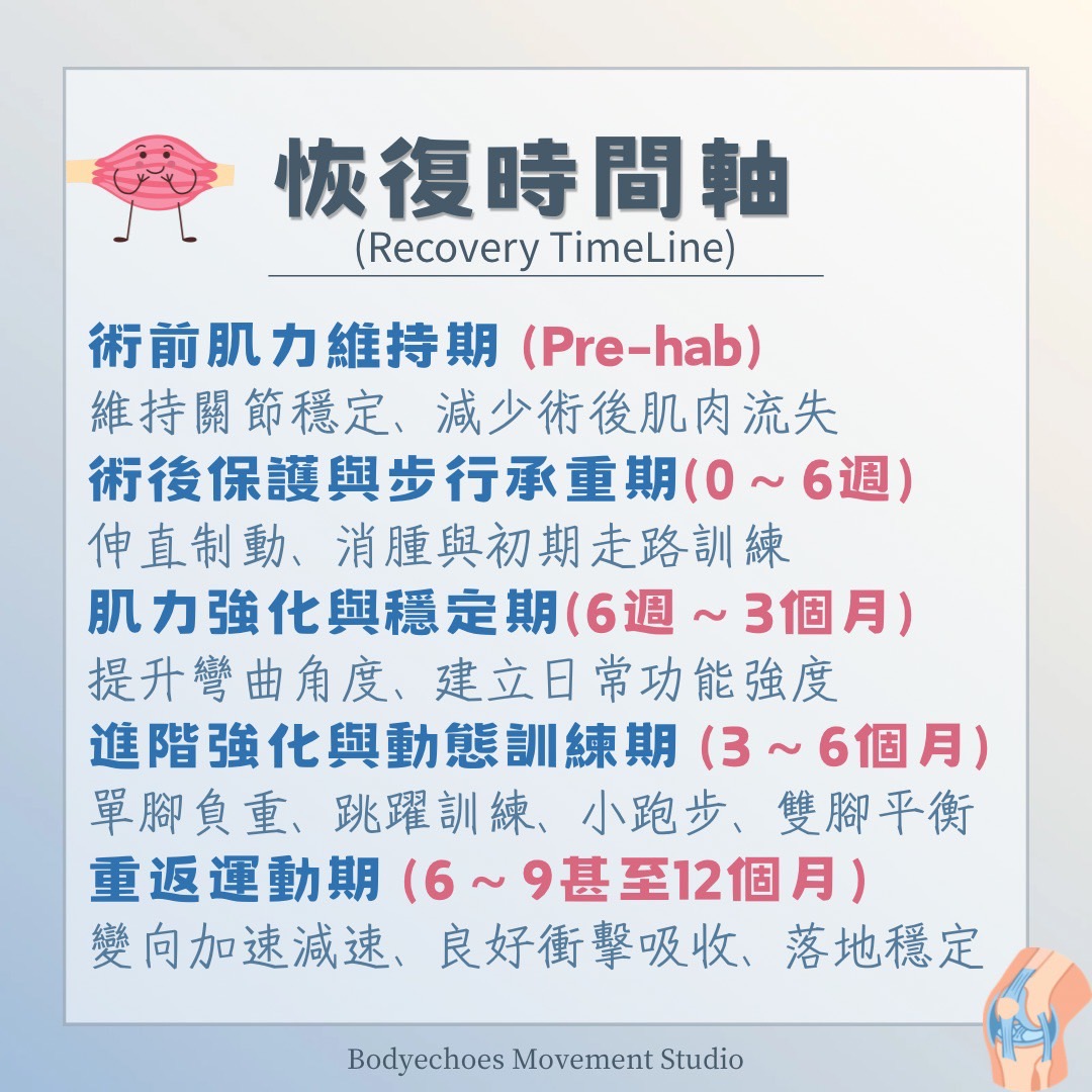 📍《身語小學堂》十字韌帶損傷（ACL）｜運動篇｜我還能回場嗎？ 圖片 5