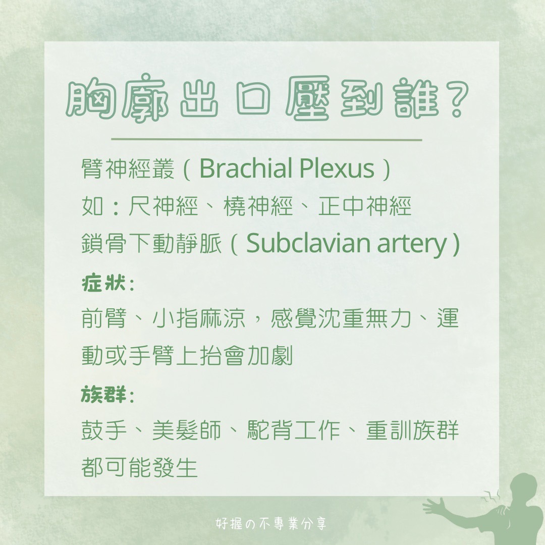 🔸 《身語小學堂》生理篇｜手臂刺刺麻麻的？ 圖片 3