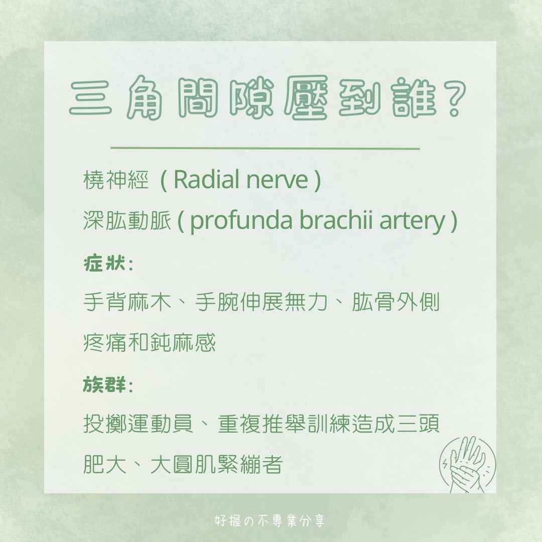 🔸 《身語小學堂》生理篇｜手臂刺刺麻麻的？ 圖片 5