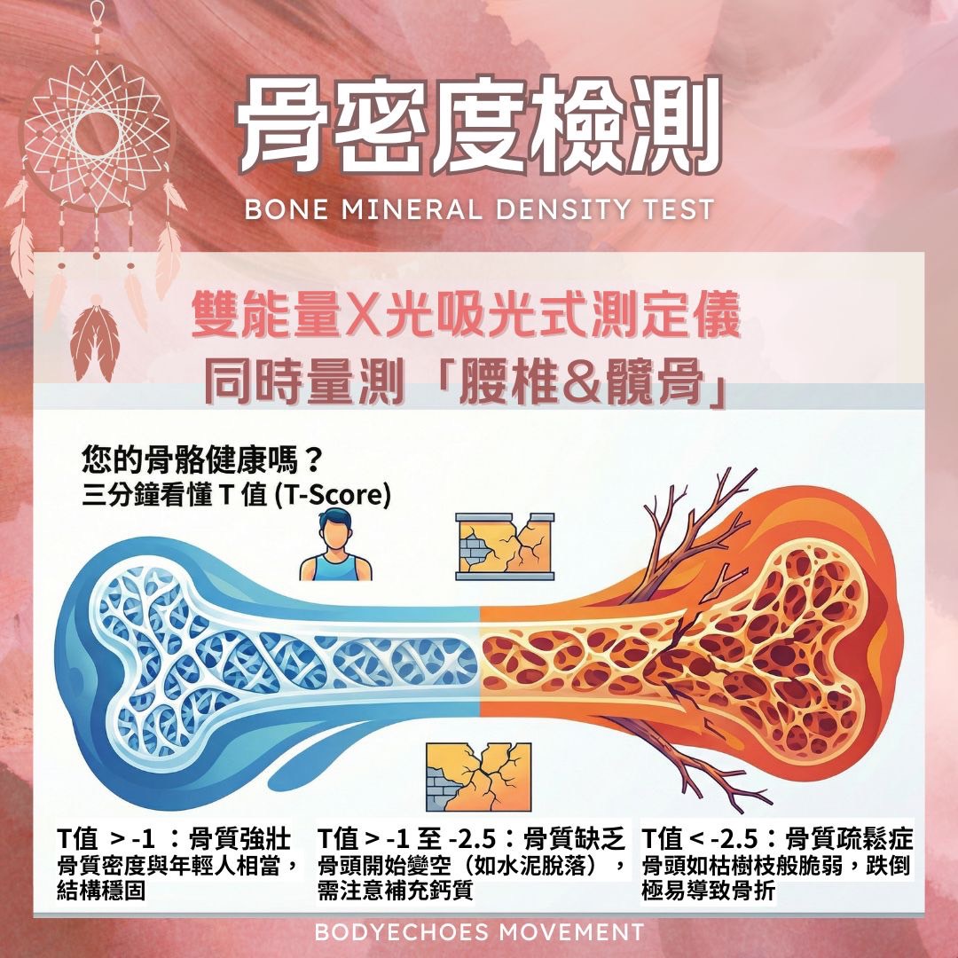 📍《身語小學堂》骨質疏鬆｜生理篇 圖片 5