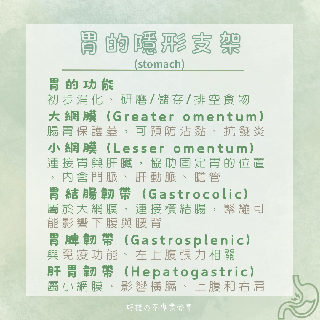 📍 《身語小學堂》內臟失衡與身體反應（消化系統篇） 圖片 3