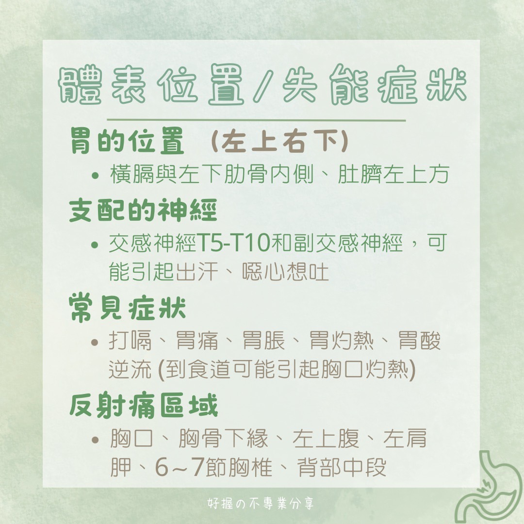 📍 《身語小學堂》內臟失衡與身體反應（消化系統篇） 圖片 4