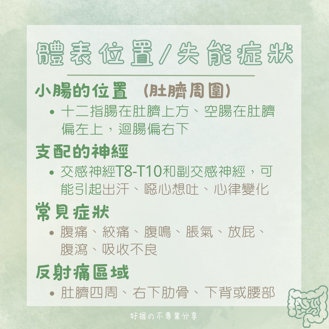 📍 《身語小學堂》內臟失衡與身體反應（消化系統篇） 圖片 6