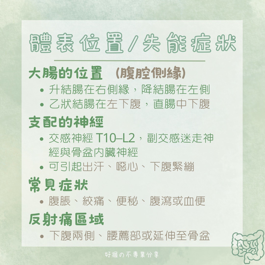 📍 《身語小學堂》內臟失衡與身體反應（消化系統篇） 圖片 8